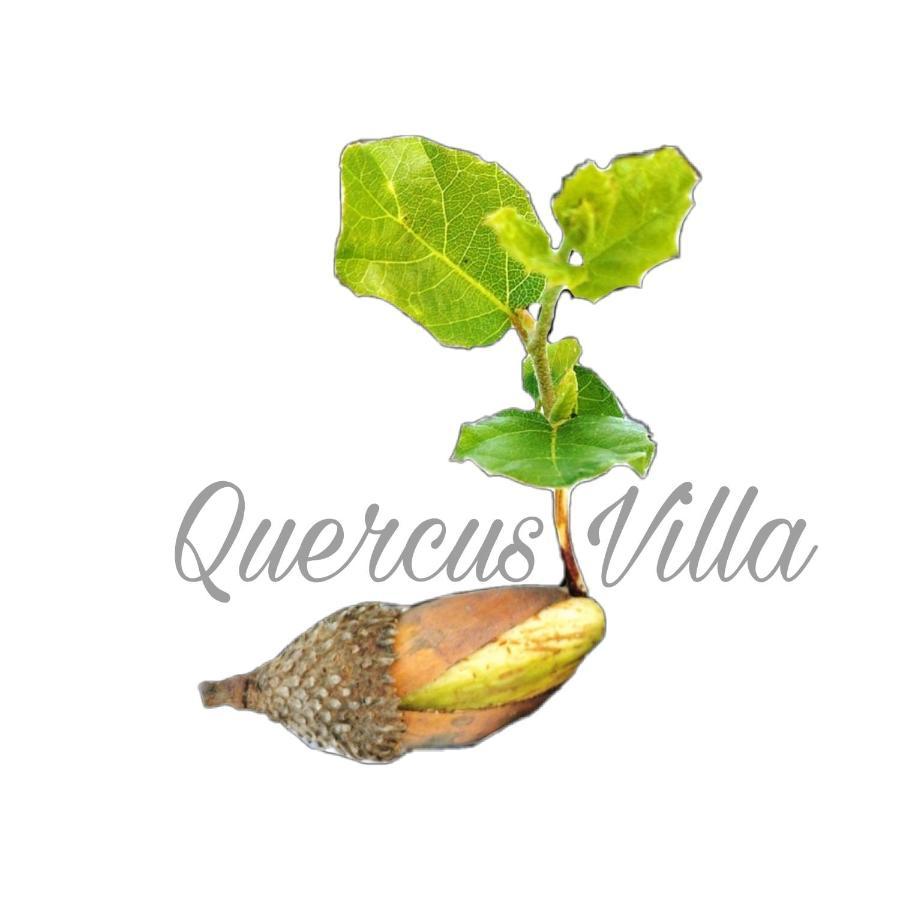 Quercus Villa Sesimbra Kültér fotó